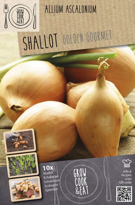 Salottsibul Kapiteyn Golden Gourmet 10 tk