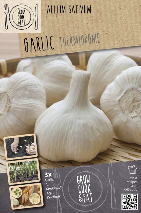 Küüslauk Kapiteyn Thermidrome White 3 tk