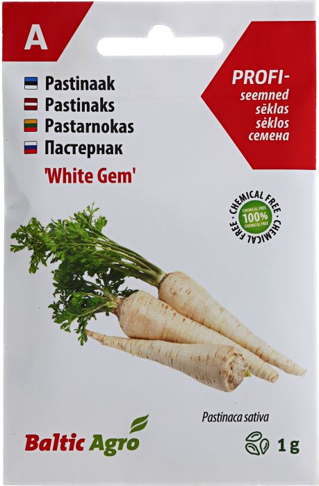 Pastinaak Baltic Agro White Gem