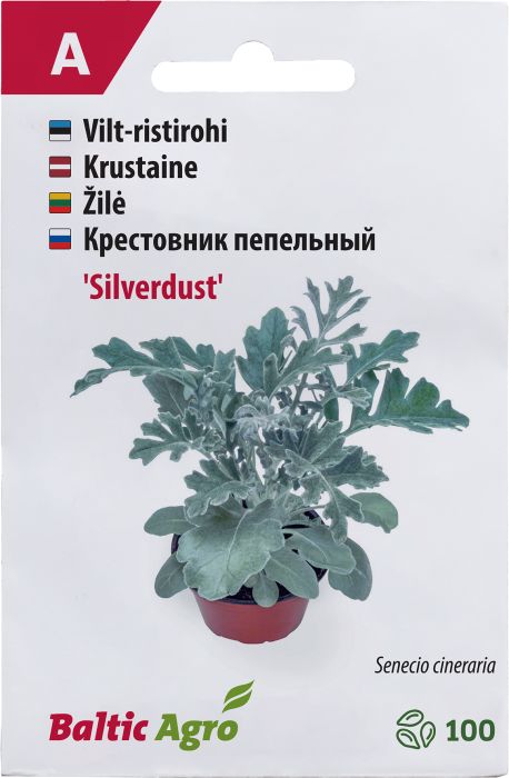Vilt-ristirohi Baltic Agro ‘Silverdust’ 100 pilli