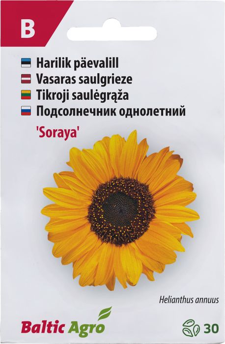 Päevalill Baltic Agro ‘Soraya’