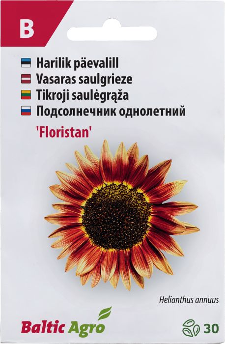 Päevalill Baltic Agro ‘Floristan’