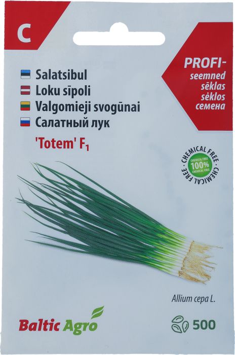 Salatsibul Baltic Agro ‘Totem’