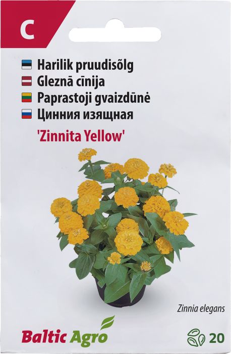 Pruudisõlg Baltic Agro ‘Zinnita Yellow’