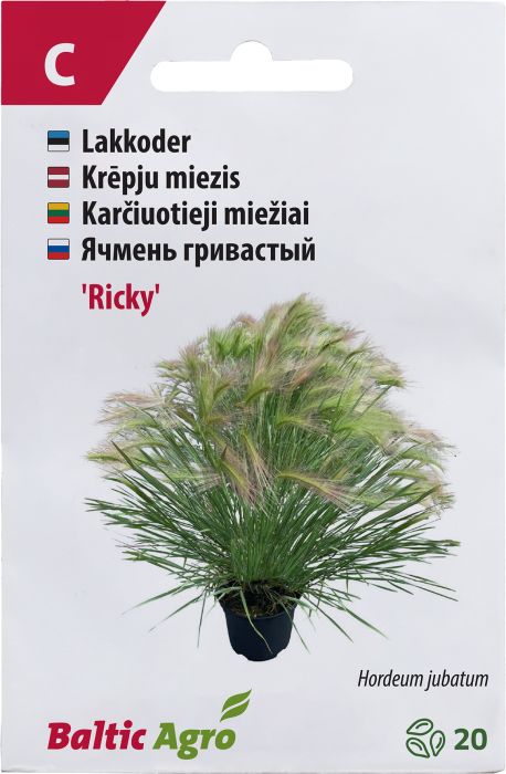 Lakkoder ‘Ricky’