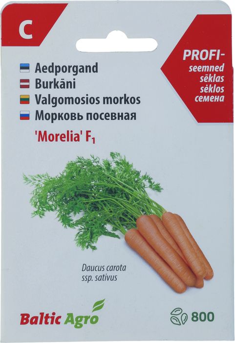 Porgand ‘Morelia’ F1