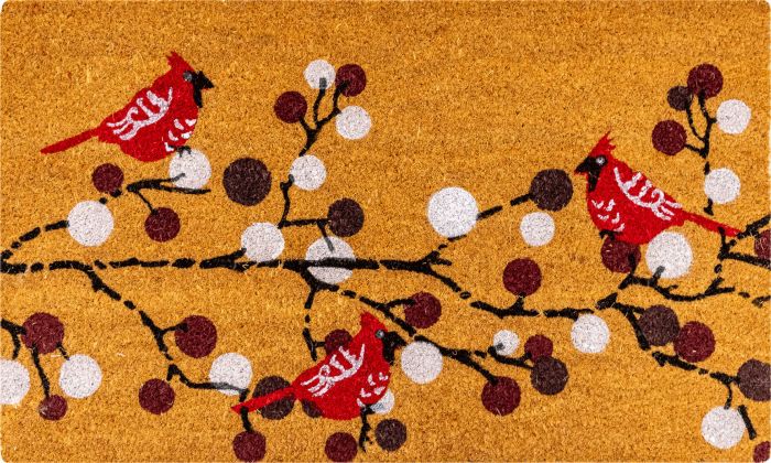 Uksematt Metrade kookos Linnud 45 x 75 cm