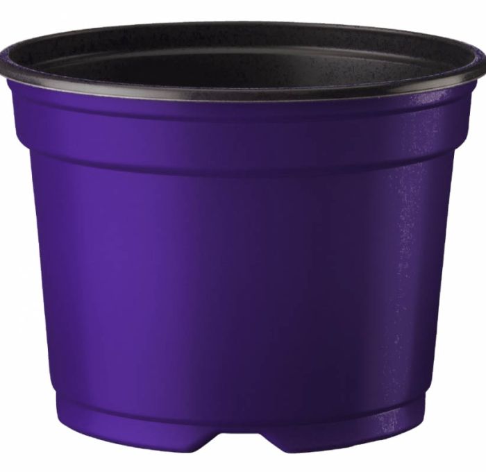 Ümarpott 10,5 cm, lilla