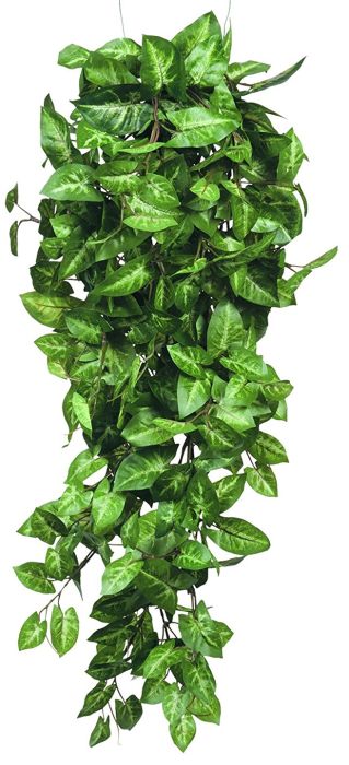 Pitslehik 80 cm