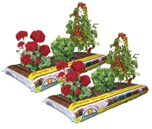 2 kasvatuskotti Greenworld 50 l
