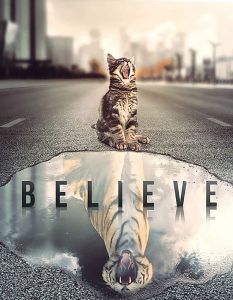 Sisustuspilt 84868 Set Your Mind 40 x 50 x 2 cm