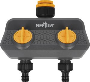 Kaksik kraaniliitmik Neptun