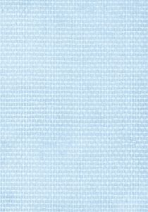 Klaaskiudtapeet Fintex Natura 194, 12,5 m²