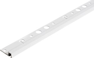 Plaadiliist Dione valge 10 x 2500 mm