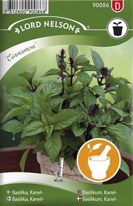 Kaneelbasiilik Cinnamon