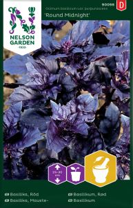 Basiilik Round Midnight