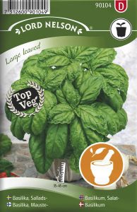 Basiilik Large leaved