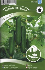 Kasvuhoone kurk Passandra F1