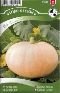 Kõrvits Gele Reuzen