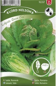 Lehtsalat Lobjoit's Green Cos