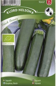 Suvikõrvits Black Beauty