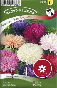 Hiina aedaster American Branchig mix