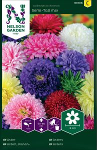 Hiina aedaster Semi - Tall mix