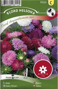 Hiina aedaster Dwarf chrysanthemum mix