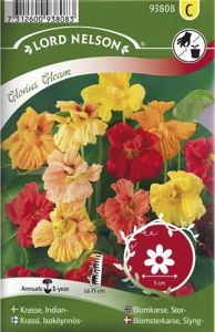 Suur mungalill Glorious Gleam