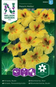 Suur mungalill Peach Melba