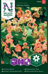 Suur mungalill Salmon Baby