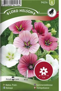 Kolmehõlmaline lehterlill mix