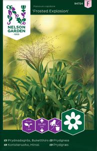 Paelhirss Frosted Explosion