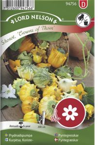 Dekoratiivkõrvits Crowns of Thorns