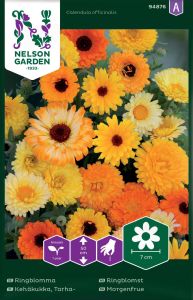 Harilik saialill segu