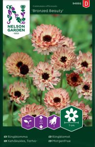 Harilik saialill Bronzed Beauty