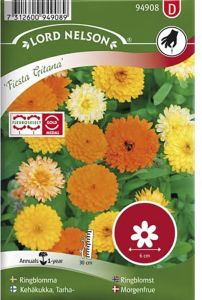 Harilik saialill Fiesta Gitana