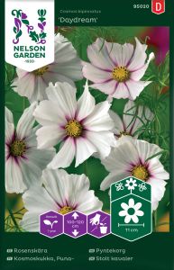 Harilik kosmos Daydream