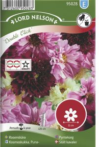 Harilik kosmos Double Click