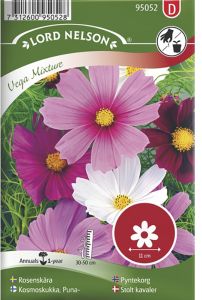 Harilik kosmos Early Summer