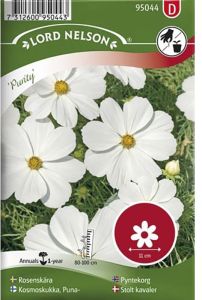 Harilik kosmos Purity