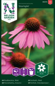 Purpur-siilkübar Starlight