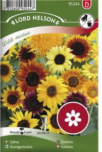 Harilik päevalill Wilde mixture