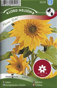 Harilik päevalill Pacino Gold