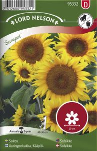 Harilik päevalill Sunspot