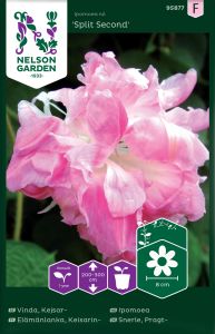 Indigo-lehtertapp Split Second