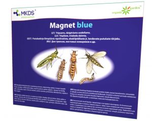 Magnet blue liimpüünis