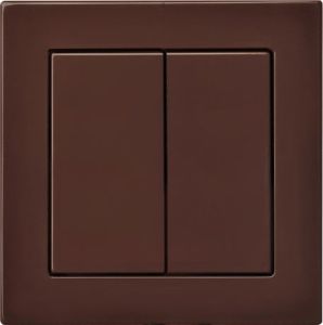 Lüliti Epsilon 2-ne raamita pruun