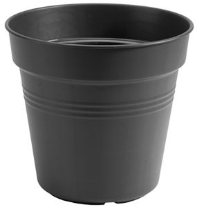 Istutuspott Basics Ø 11 cm