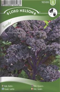 Kähar lehtkapsas Scarlet